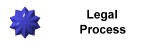 The Legal Process